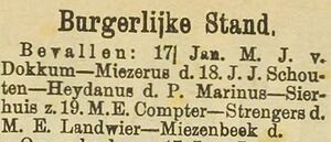 Haarlems Dagblad 21 Januari1895