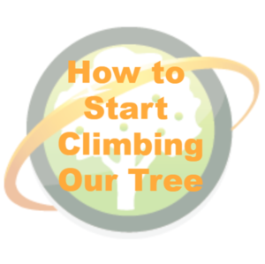 Climb our Tree