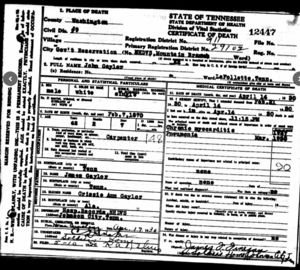 Death Certificate for John Gaylor, son of James & Grissey Gaylor