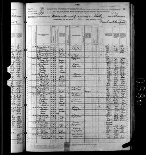United States Census, 1880