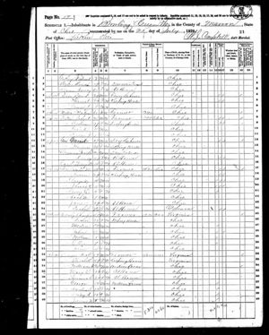 1870 Census, Family of  Eleazer Martin Dutton