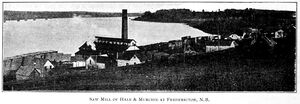 Hale & Murchie lumber mill