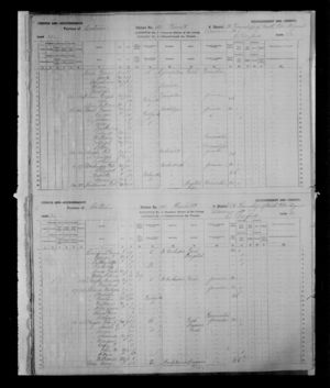 1881 Census of Canada - Plantagenet North, Prescott, Ontario