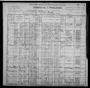 1900 United States Census