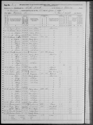 Robert Wiseman and Helen Wiseman 1870 US Census