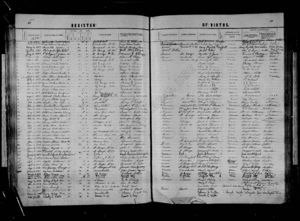 Listing of Birth Records - Line 27 Phoebe Rebecca Bonner