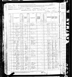 1880 Census Peter Peyton