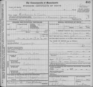 Catherine Morrsion Toole Death Record
