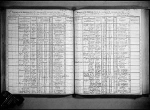 New York, State Census, 1915