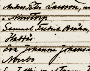 detail from document, Sweden Death Record  