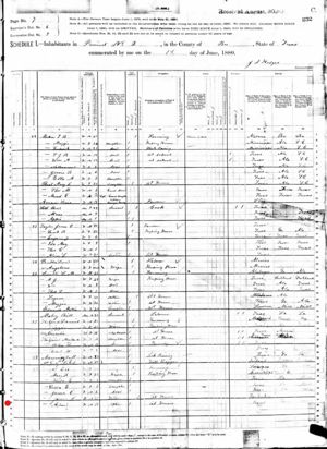 Albert Wright - 1880 United States Federal Census -Bee TX