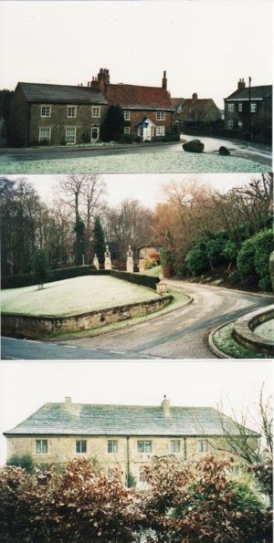 Town of Scriven Three Views