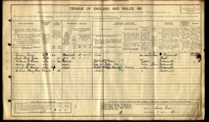 1911 Census, Household of Cornelius Evans (1852)