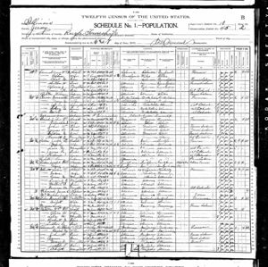 1900 US Census     Lewis Elliott Jr.