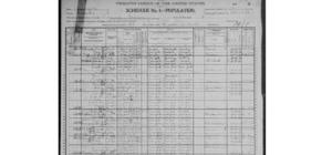 US Census 1900, Vienna Twshp, Oneida, New York: Dell Lacell Household