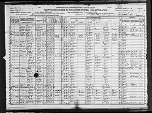 Fayette county, Iowa 1920 census
