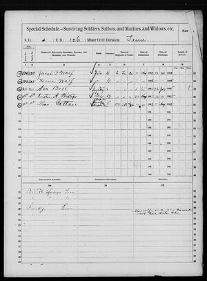 1890 Union Veterans Census