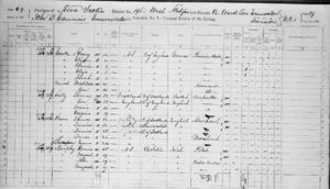 Dennis Murphy and family in the 1871 census