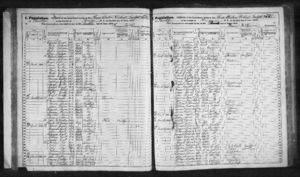 Michael Fox - 1875 NYS Census