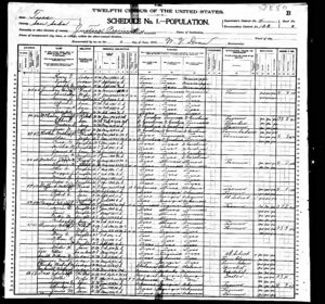 1900 United States Federal Census_Eliza Brazil Family