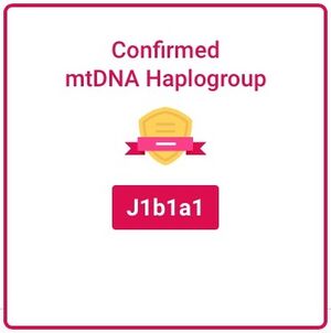 Mit-DNA Haplogroup