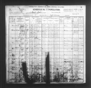 1900 census