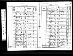 1841 Census showing the Hicks family Mary (Hicks) Larner is the third child