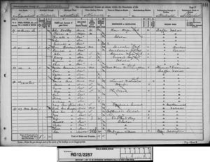 Census 1891 Sturgess family (head - Sarah Jane Cordon Sturgess - widow)