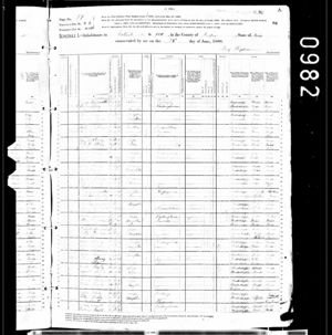 1880 census Jasper, Mississippi