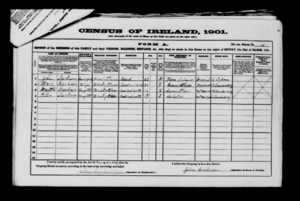 Census of Ireland 1901 John Harbison