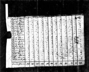 David Delk 1800 Census