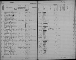 Laura & John Cole 1885 Census