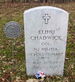 Elihu Chadwick
