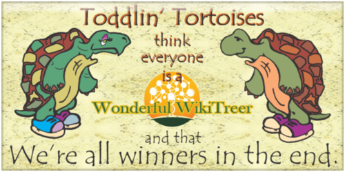 500px-ToddlinTortoises-82.png
