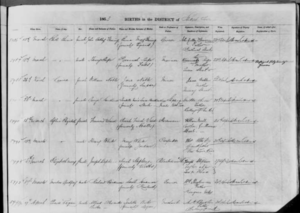 Elizabeth Mary Stephens Birth Record