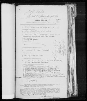 Levina Catharina Duvenage death notice 1849 - 1885
