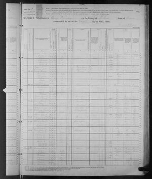 Patrick Quinn United States Census, 1880, page 2