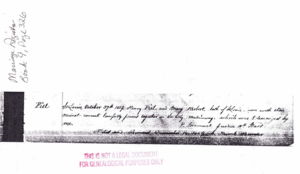 Marriage Record of John Henry Piel and Anna Amelia Boovis