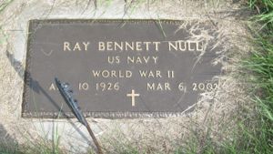 Ray Null Image 1
