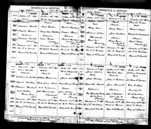 Annie Mantle Birth Record