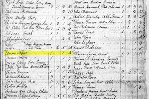 1782 Fluvanna County, Virginia tax list