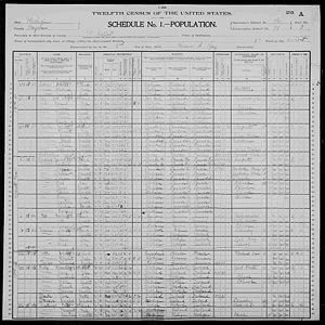 US Census 1900 Michigan, Wayne, 0079 Detroit city Ward 8, Household Frank Wolfe