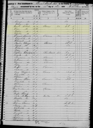 United States Census, 1850 showing Martha Gilbert with the 3 boys