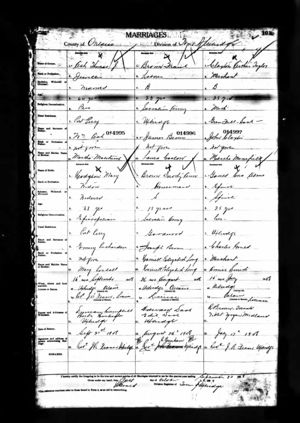 Dorothy Brown Marriage Record