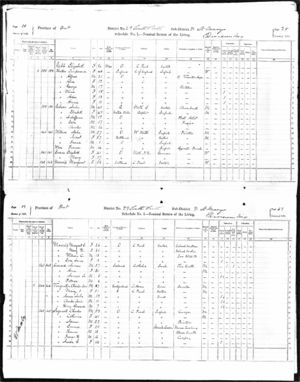 Hutton, Canadian Census 1871
