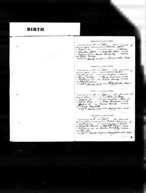Eady Emaline Tackett Birth Record