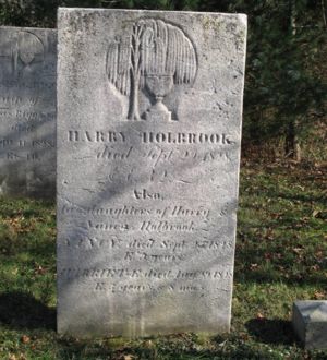 Harriet Holbrook Image 1