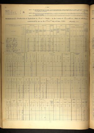 Daniel Norwood Agriculture Survey 1880