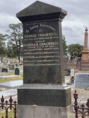 Gravestone - Cracknell Family