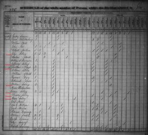 Riggs, Saling & Allied Families 1830 Census